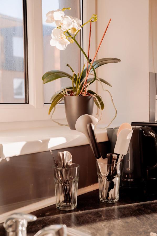 Apartmany Centrum Nový Bor Dış mekan fotoğraf